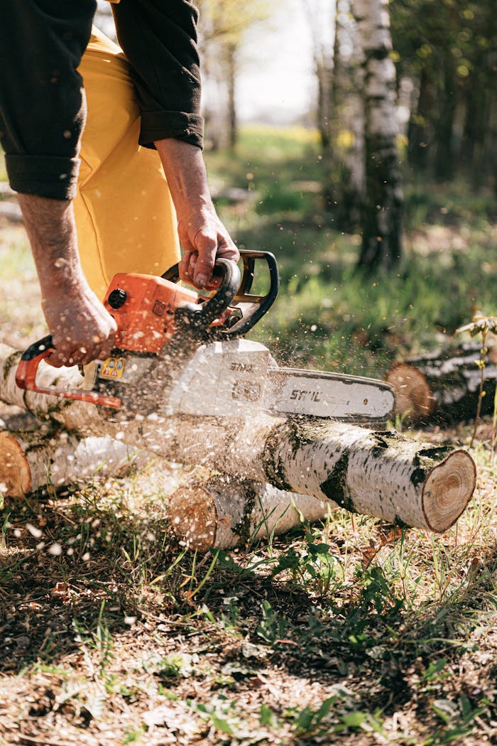 services-06 Focused lumberjack using a chainsaw to cut logs in a sunny forest clearing.