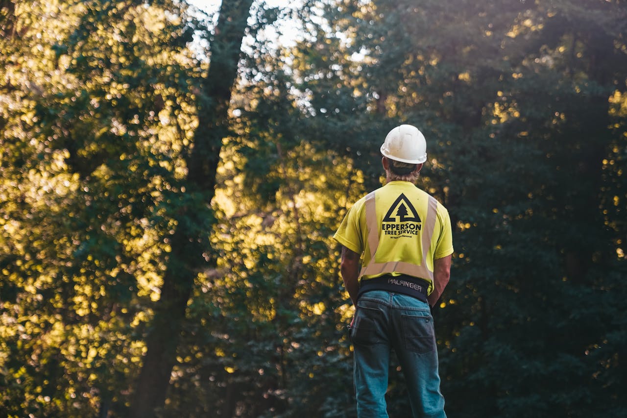 services-05 A tree service worker stands in a forest wearing a hardhat and safety vest, ready for a day of outdoor work.