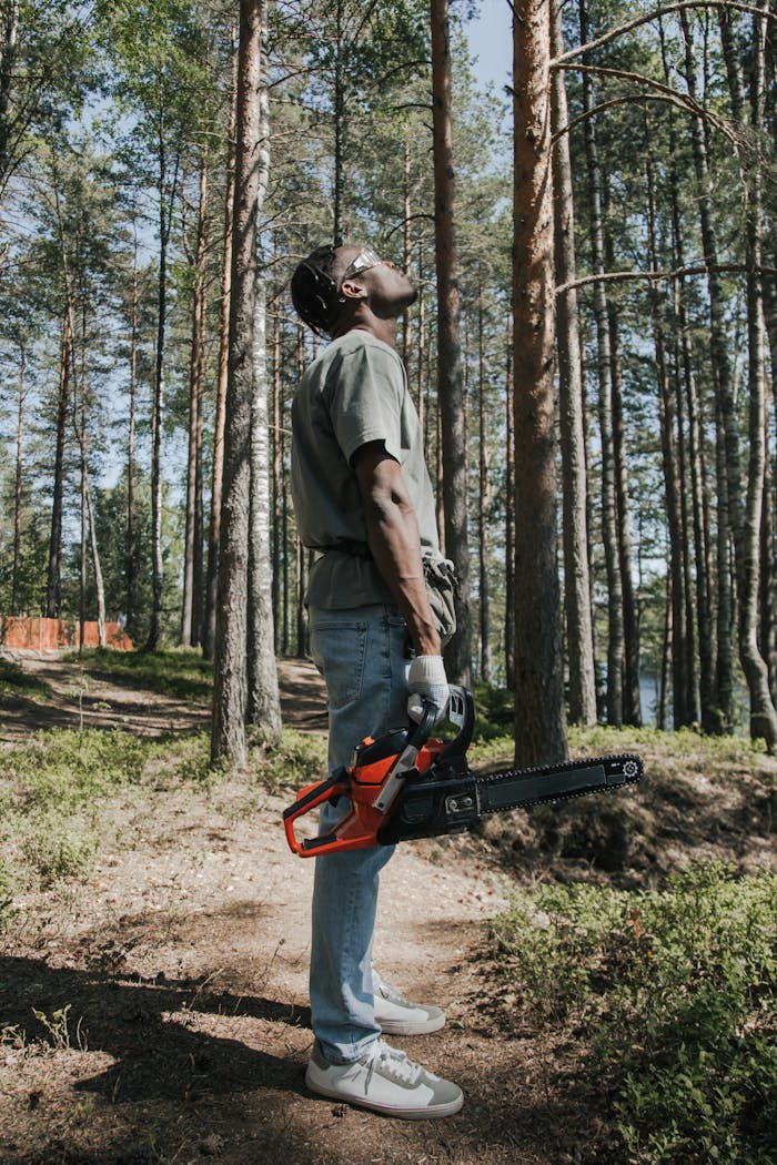 about-us A professional forestry worker with a chainsaw observes tree canopy outdoors.