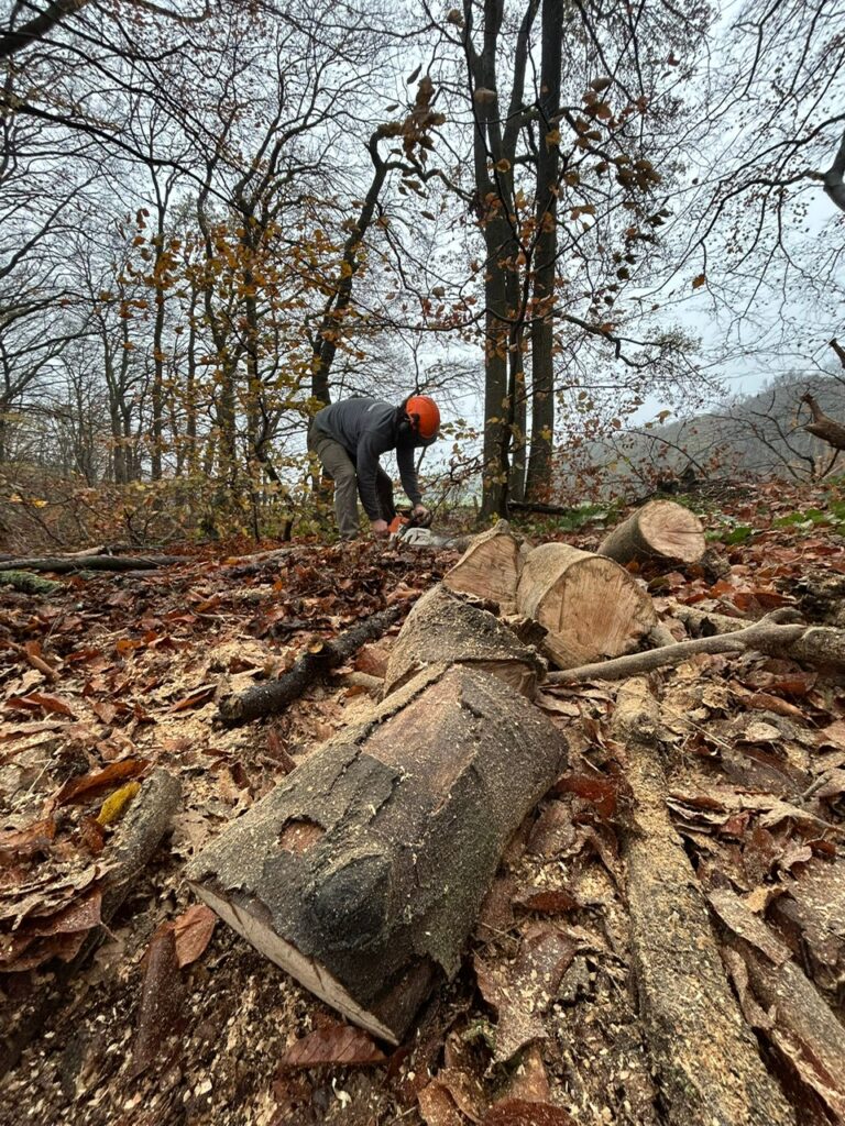 photo 2025 12 06 13 25 02 photo 2025 12 06 13 25 02