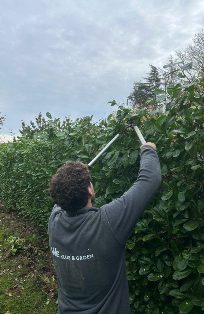 c268c34b f92e 49a9 b999 0164fcbd56db c268c34b f92e 49a9 b999 0164fcbd56db